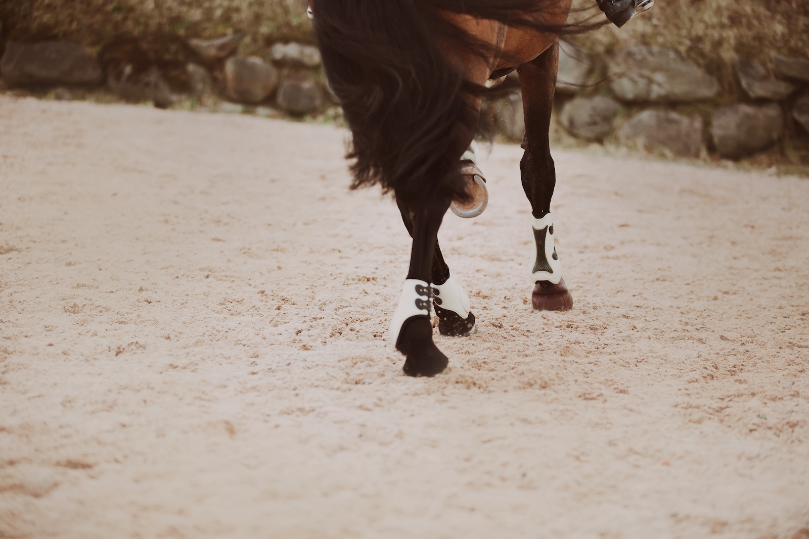 The,Hooves,Of,A,Bay,Fast,Horse,With,A,Long